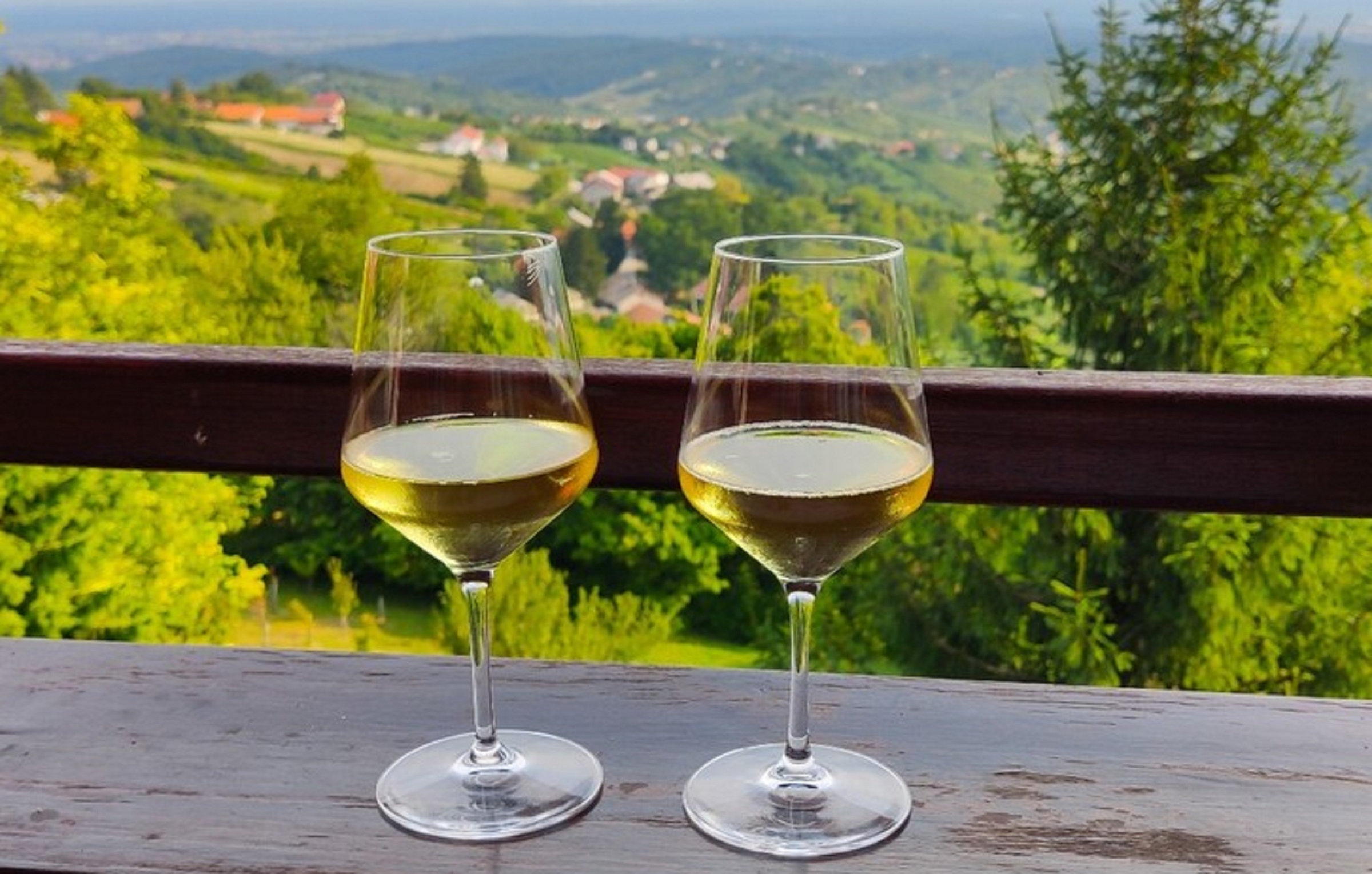 plesivica-view_orig